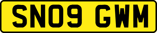 SN09GWM