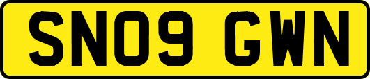 SN09GWN