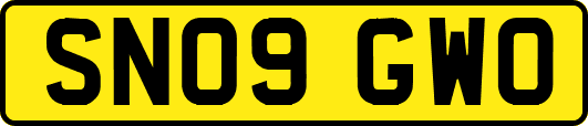 SN09GWO