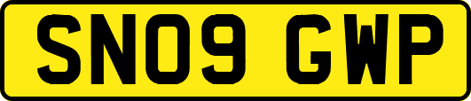 SN09GWP