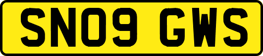 SN09GWS
