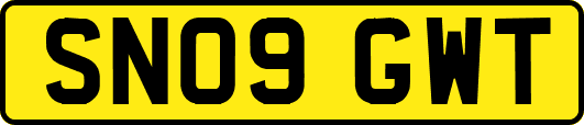 SN09GWT