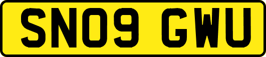 SN09GWU