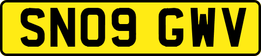 SN09GWV