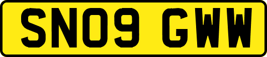 SN09GWW
