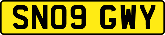 SN09GWY