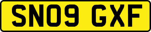 SN09GXF