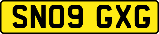 SN09GXG