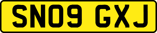 SN09GXJ