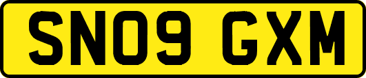 SN09GXM