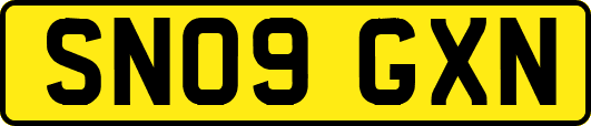 SN09GXN
