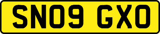 SN09GXO
