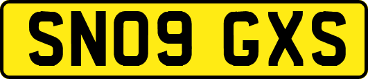SN09GXS