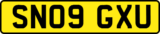 SN09GXU