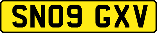 SN09GXV