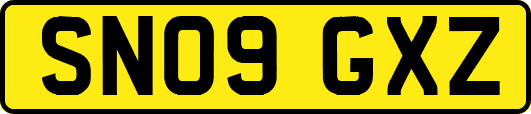 SN09GXZ