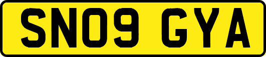 SN09GYA
