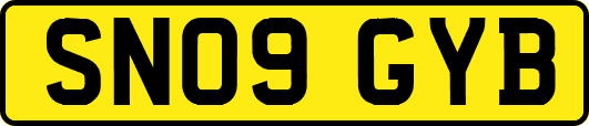 SN09GYB