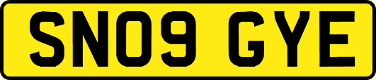 SN09GYE