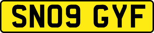 SN09GYF
