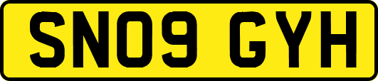 SN09GYH
