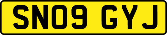 SN09GYJ