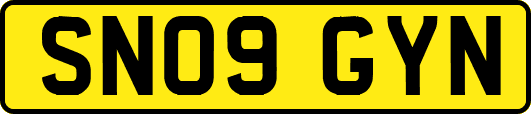 SN09GYN