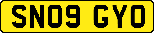 SN09GYO