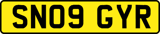 SN09GYR