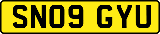 SN09GYU