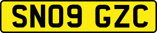 SN09GZC