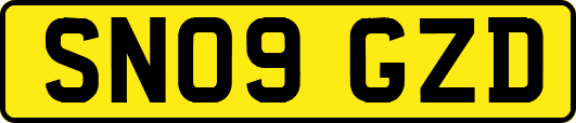 SN09GZD