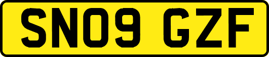 SN09GZF