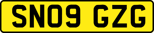 SN09GZG