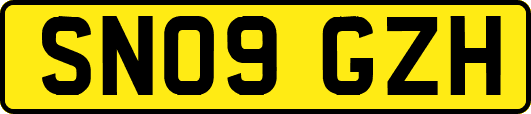 SN09GZH