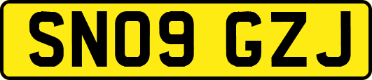 SN09GZJ