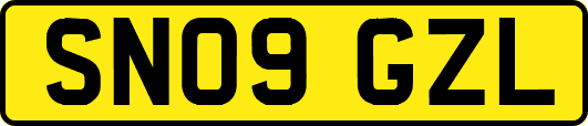 SN09GZL