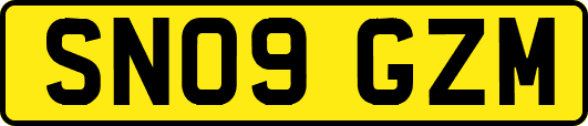 SN09GZM