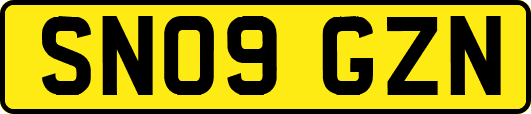 SN09GZN
