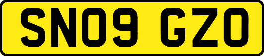 SN09GZO