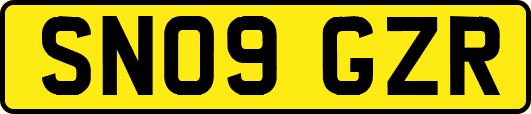 SN09GZR