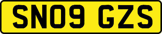 SN09GZS