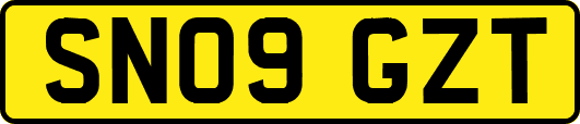 SN09GZT