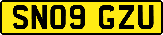 SN09GZU