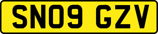 SN09GZV