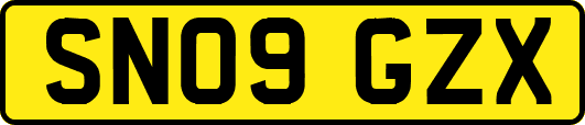 SN09GZX
