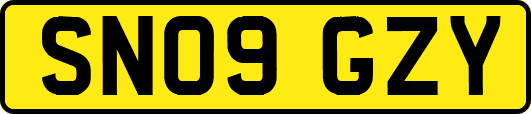 SN09GZY