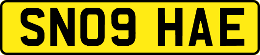 SN09HAE