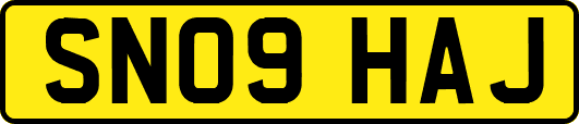 SN09HAJ