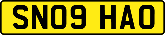 SN09HAO